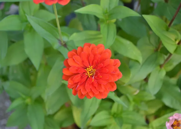 酒店 Riviera Ristorante La Briciola